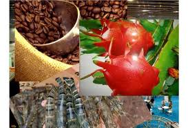 ຫວຽດນາມ ເຂົ້າຮ່ວມງານຕະຫຼາດນັດ ສາກົນ Algers ຄັ້ງທີ 45